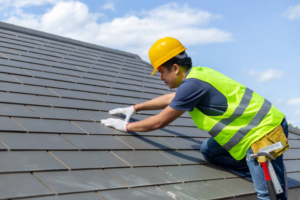 Best Roof Gutter Cleaning  in New Brighton, MN